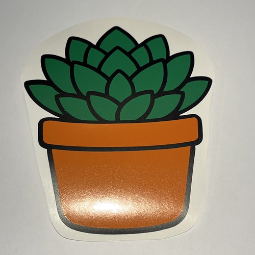 Adesivo vinile succulento - , cm