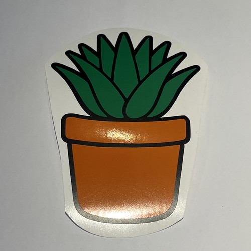 Adesivo vinile succulento cm - vinile,