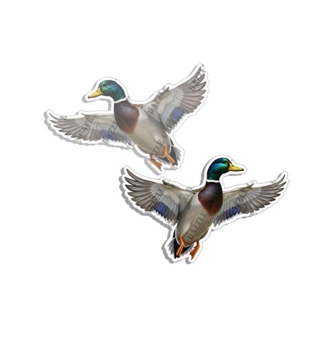 Adesivo mallard wildlife - adesivo,